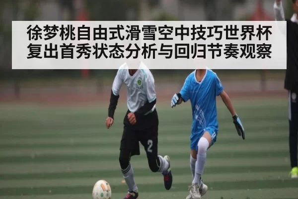 徐梦桃自由式滑雪空中技巧世界杯复出首秀状态分析与回归节奏观察